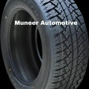 265/65r17 Maxtrek